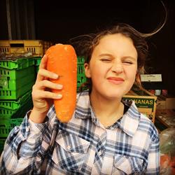 The Island Grocer