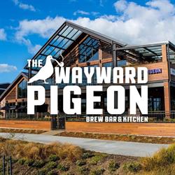 The Wayward Pigeon