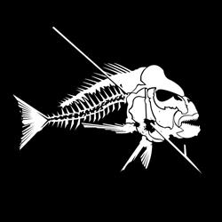 OCEAN HUNTER Spearfishing & Freediving Specialists