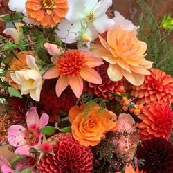 The Flower Patch