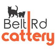 Belt Road Cattery