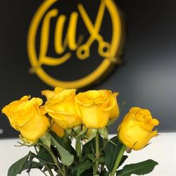 Lux Hair Salon Ltd