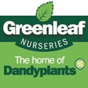 Greenleaf Nurseries