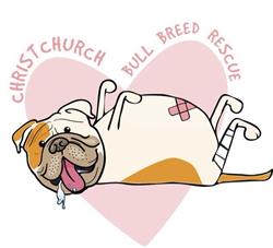 Christchurch Bull Breed Rescue