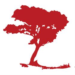 Red Tree Environmental Solutions Ltd.