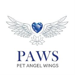 Pet Angel Wings