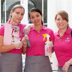 Hire a Maid Franchise Group