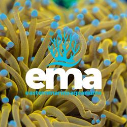 EasternMarine Aquariums
