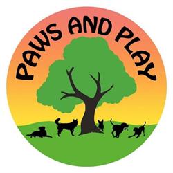 Paws and Play Tauranga