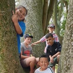 St Johns Presbyterian Church Papatoetoe