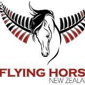 Flying Horse Ltd