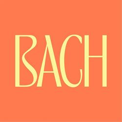 Bach Matakana