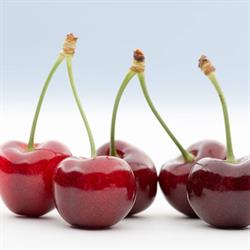 Suncrest Orchard Ltd