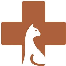 The Cat Vet