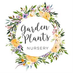 Garden Plants