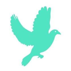 House of Hope Drug and Alcohol Rehab Auckland
