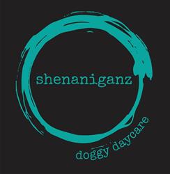 Shenaniganz Doggy Daycare - Palmerston North