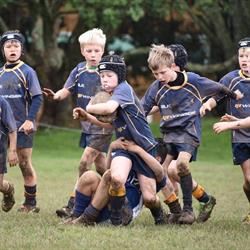 Grammar Juniors Rugby Club