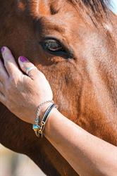 Equine Mementos
