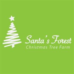 Santa's Forest