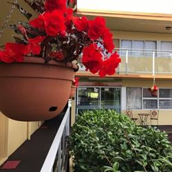 Greenview Motel