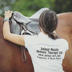 Animal Muscle Release Therapy Ltd.