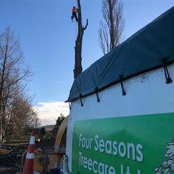 Four Seasons Treecare Ltd