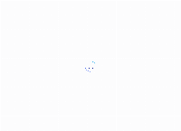 Pay it Now's website
