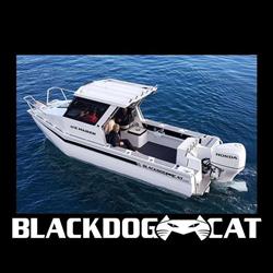Blackdog Cat