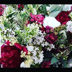 Jillybud Florist