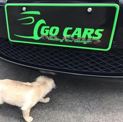 GO CARS NZ Ltd