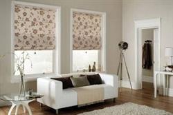 Absolute Blinds