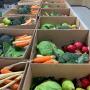 Fruit & Vege Boxes