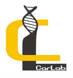 Car Lab - Automotive Repair Garage - Auckland