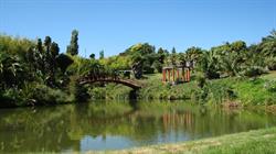 Paloma Gardens