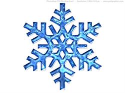 Transport Refrigeration Services Ltd