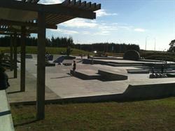 Barry Curtis Park Skatepark