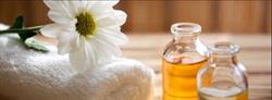 Spring Beauty Studio