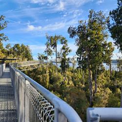 West Coast Treetop Walk & Cafe