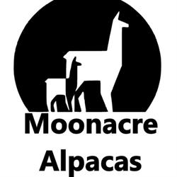 Moonacre Alpaca's Yarn and Craft Boutique