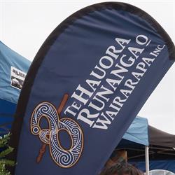 Te Hauora Runanga O Wairarapa