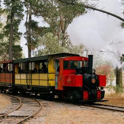 Steam Scene Christchurch (C.S.P.S.Inc)