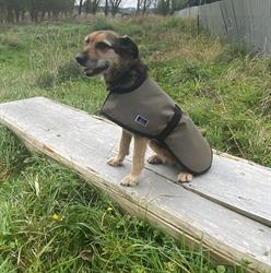 Goodwood Dog Beds