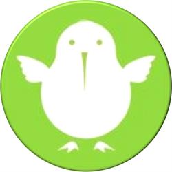 Green Footed Kiwi