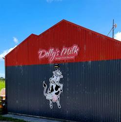 Dolly's Milk