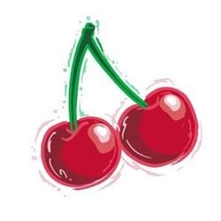 Smithy's PYO Cherries