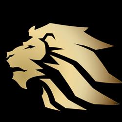 Roar Combat Academy