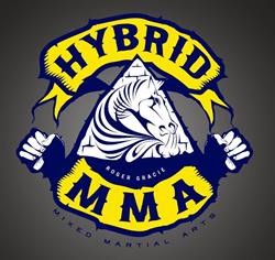 Hybrid Mma