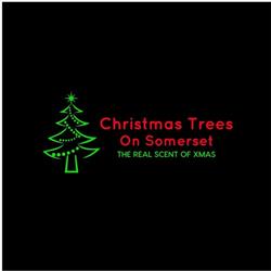 Christmas Trees on Somerset