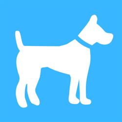 A Dog's Day